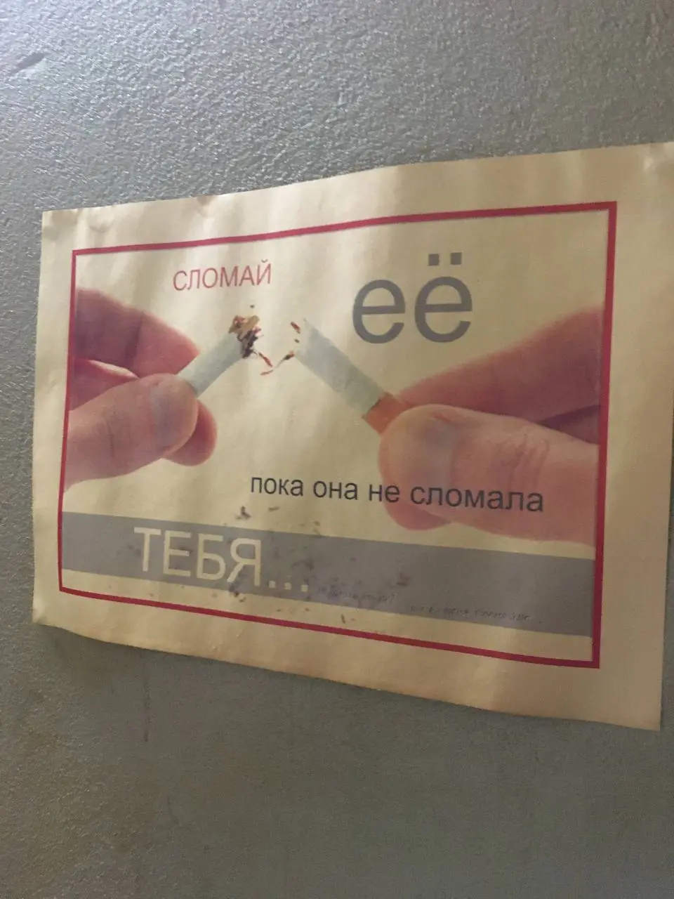 Сегодня хочу поделиться одной простой вещью.
Ночь, а мне не спится. Лежу, смотрю в потолок и ловлю себя на том, как тихо внутри стало за эти дни без сигарет | Сетка — социальная сеть от hh.ru
