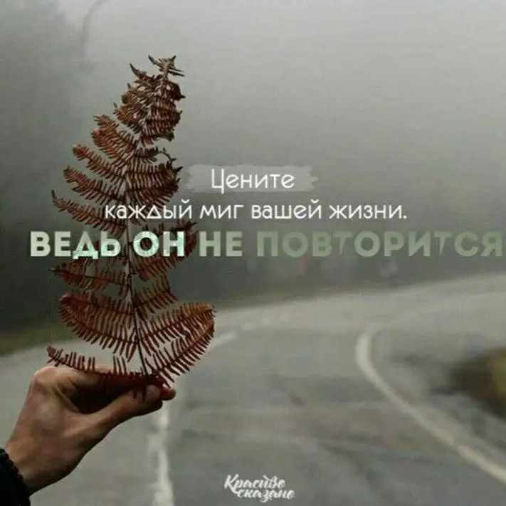 Цените мгновения | Сетка — социальная сеть от hh.ru