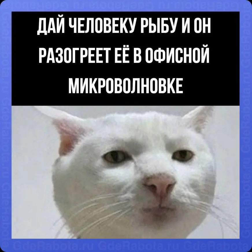В каждом коллективе есть такой коллега. Не забывайте, что кроме рыбы он может разогреть печень и поесть селёдку под шубой 😕
#работа #вакансии #статья #GdeRabota | Сетка — социальная сеть от hh.ru