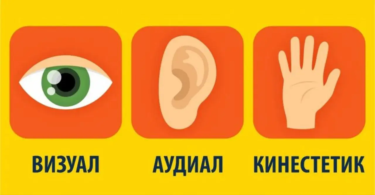 👀🌊🎨 КАК ВЫ ВОСПРИНИМАЕТЕ МИР?
Что такое модальности?
Это ведущий канал восприятия информации: визуальный, аудиальный или кинестетический | Сетка — социальная сеть от hh.ru