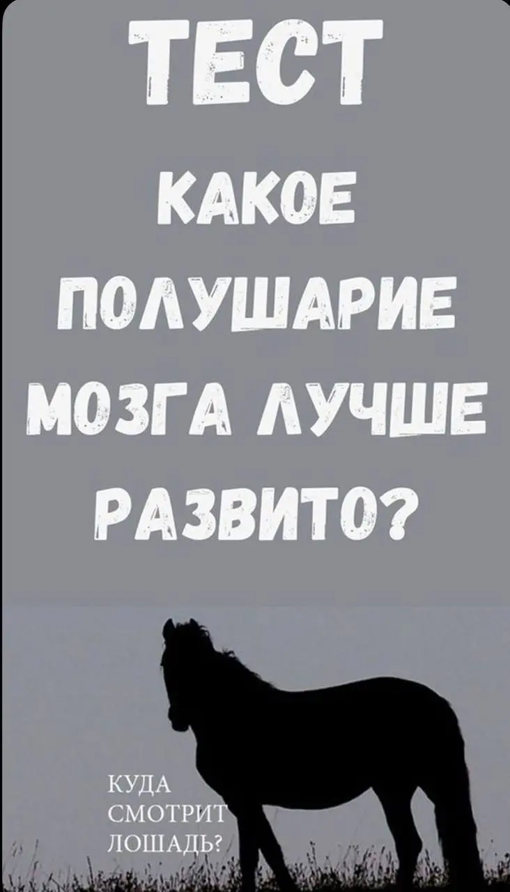 Тест - какое полушарие у тебя сейчас рулит?
И да, это про бизнес, уверенность и внутреннюю опору 💪✨
Посмотри на картинку внимательно:
Лошадь смотрит влево или вправо? 👀
И вот что это может о тебе расс... | Сетка — социальная сеть от hh.ru