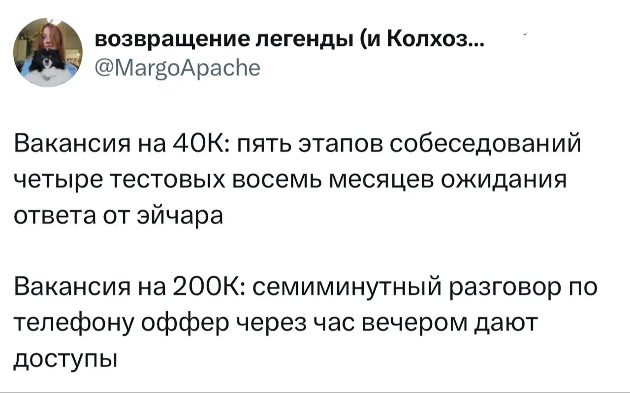 Главный парадокс на рынке труда, который всегда остается актуальным: | Сетка — социальная сеть от hh.ru
