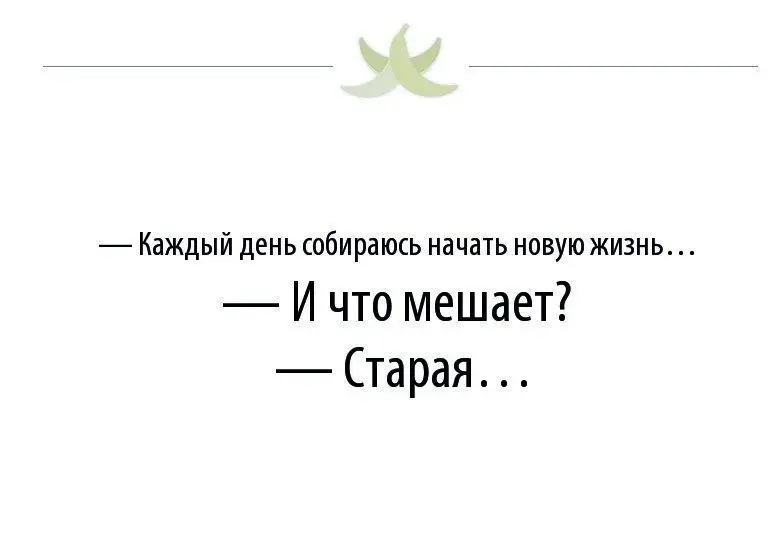 Улучшения не приживаются | Сетка — социальная сеть от hh.ru