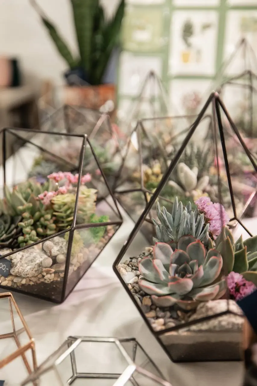 🌿Зелёный маркет Growbox Market снова пройдёт в Москве
6–7 декабря 12:00–20:00
Здесь можно будет послушать лекции, обменяться растениями, найти новых «зелёных друзей» в кашпо и мини-горшках
▫️Вход своб... | Сетка — социальная сеть от hh.ru