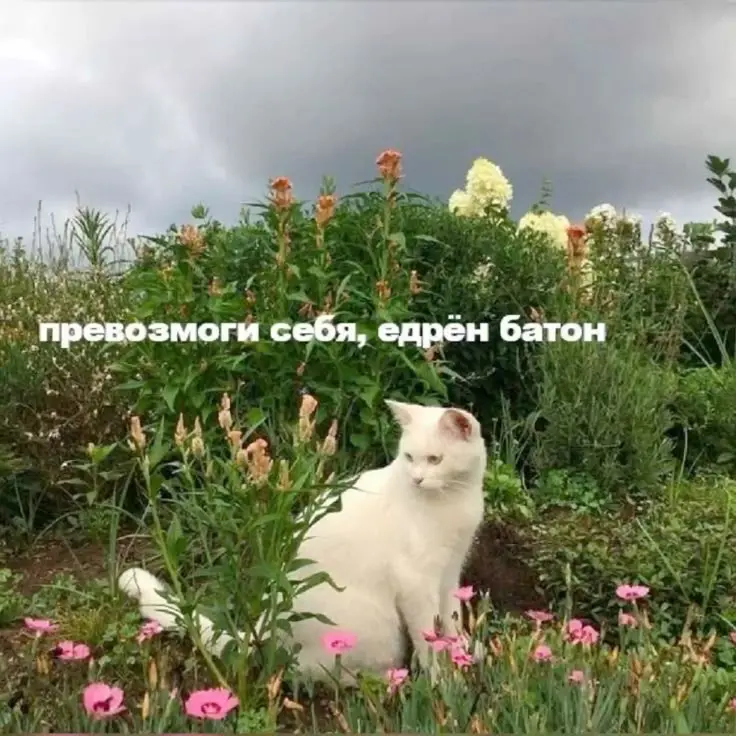 Когда станет легче? | Сетка — социальная сеть от hh.ru