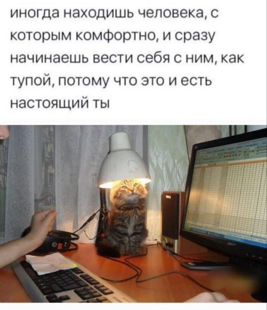 Все так | Сетка — социальная сеть от hh.ru