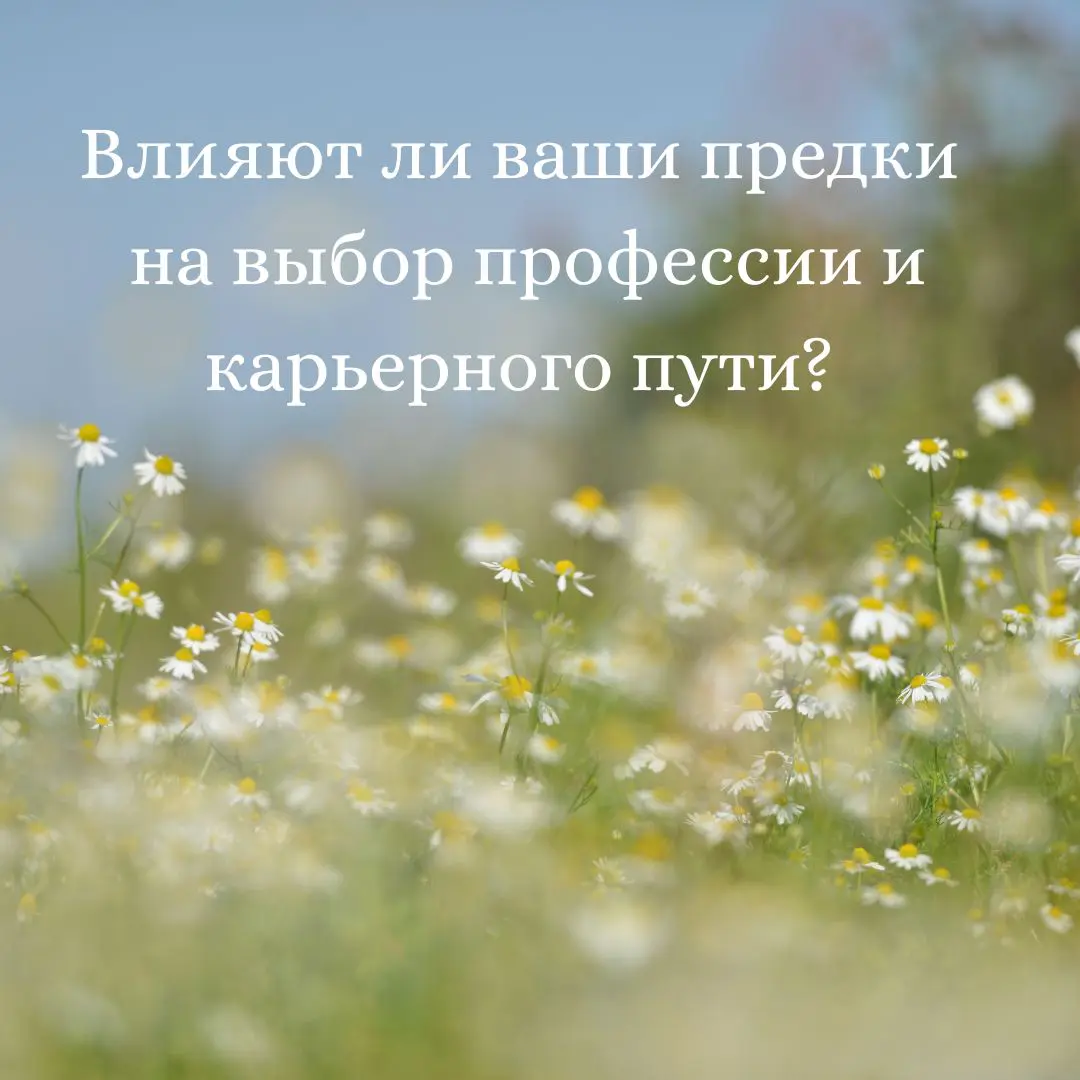 Карьерные выборы предков помогают в самоопределении | Сетка — социальная сеть от hh.ru