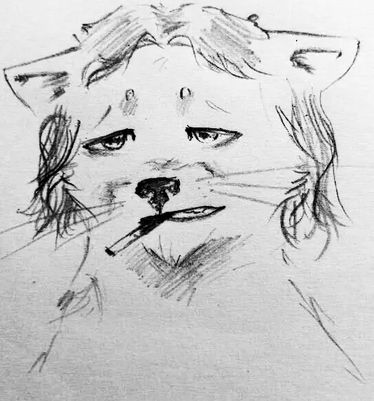 Неожиданный подарок от Авито [1/7] | Сетка — социальная сеть от hh.ru