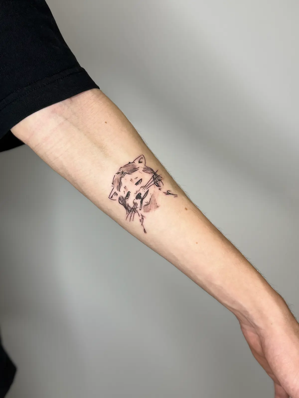 Неожиданный подарок от Авито [1/7] | Сетка — социальная сеть от hh.ru