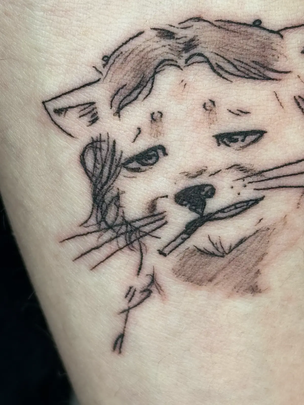 Неожиданный подарок от Авито [1/7] | Сетка — социальная сеть от hh.ru