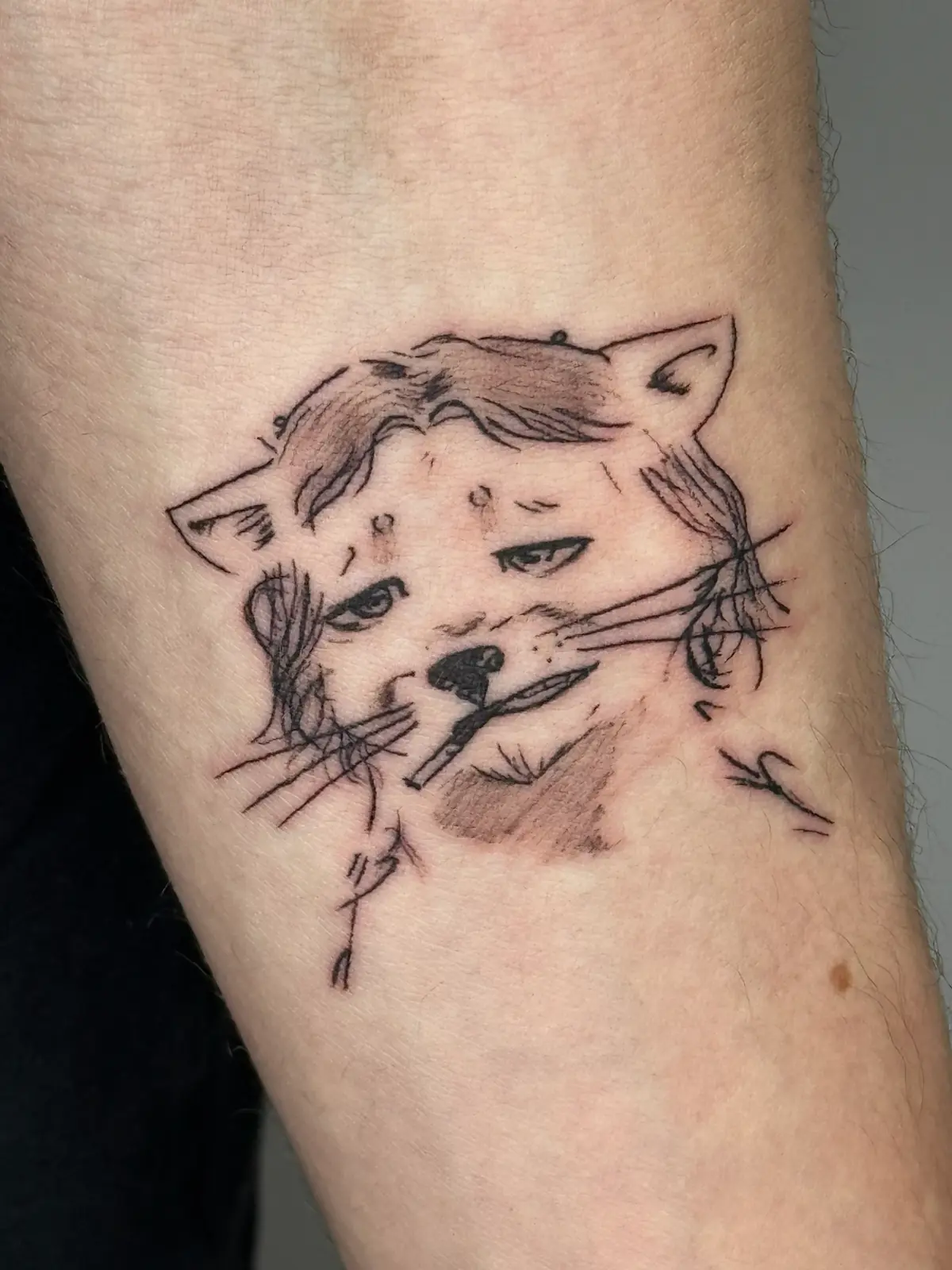 Неожиданный подарок от Авито [1/7] | Сетка — социальная сеть от hh.ru