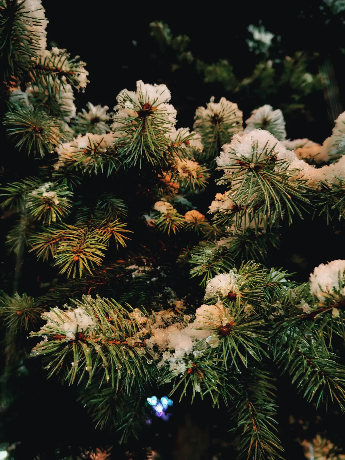 Субботний снегопад. 🌨❄ | Сетка — социальная сеть от hh.ru