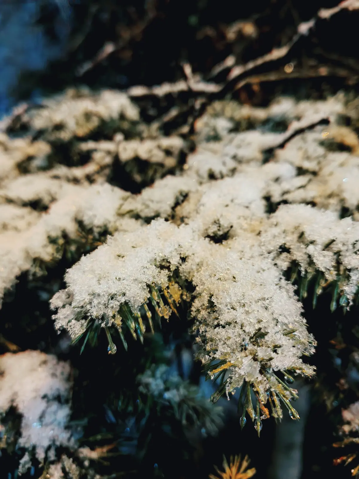 Субботний снегопад. 🌨❄ | Сетка — социальная сеть от hh.ru