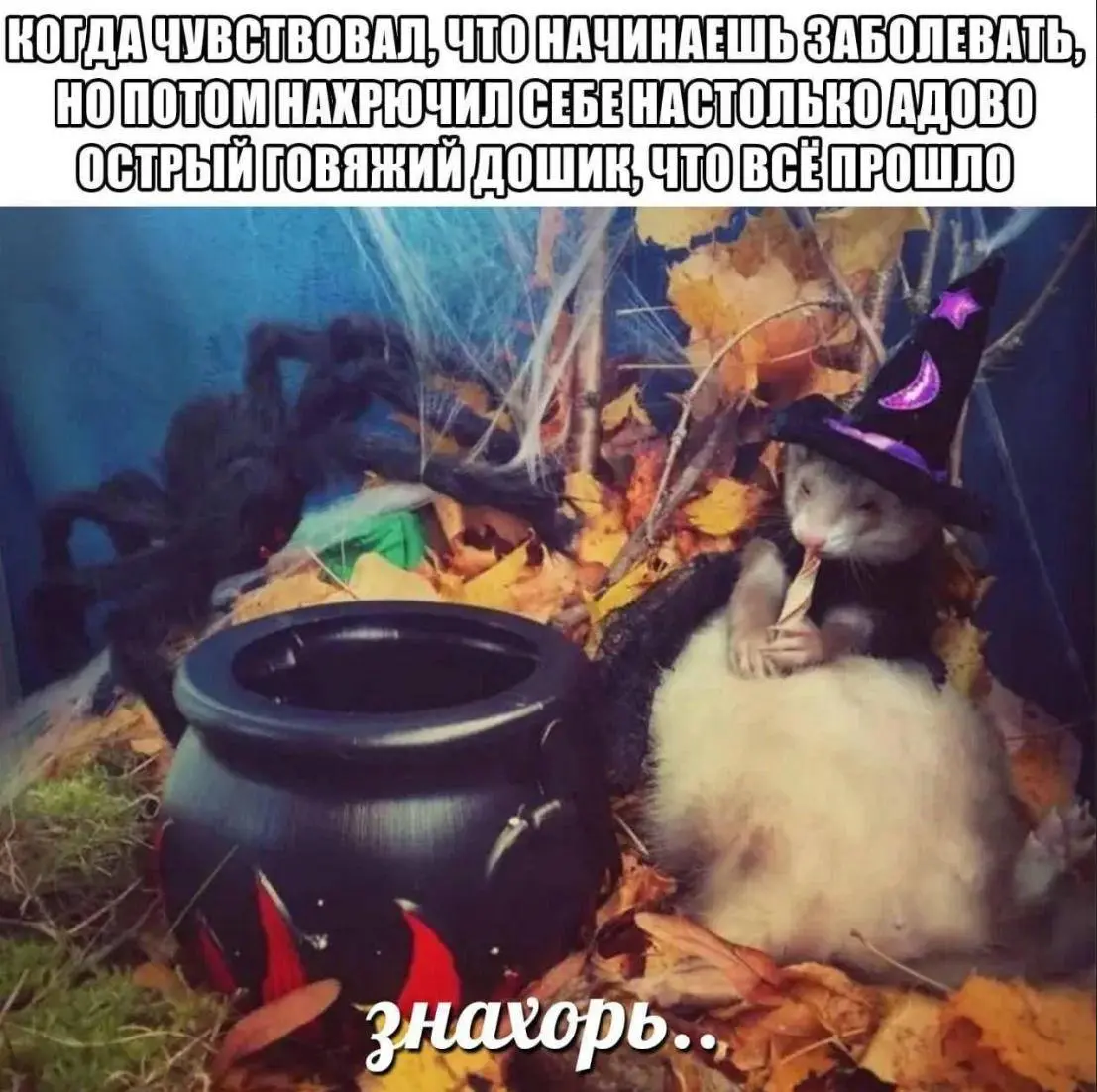 День 84
🔤 читала
🔤 ходила на свидание
🔤 много смеялась
🔤 трогала собаку
🔤 тапала сову
🔤 кушала любимый десерт
🔤 не пила кофе | Сетка — социальная сеть от hh.ru