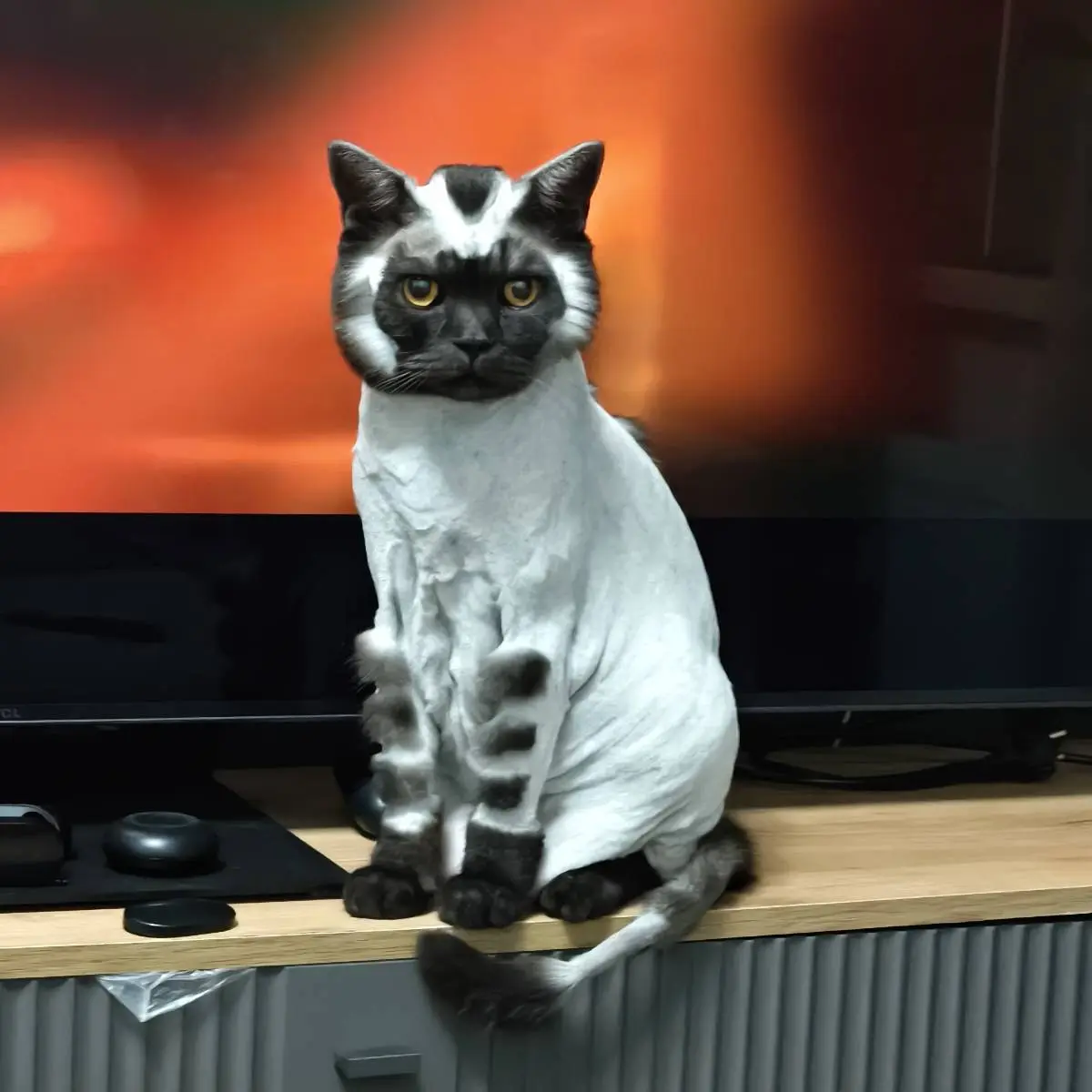 Владимир Бусенко | Сетка — социальная сеть от hh.ru