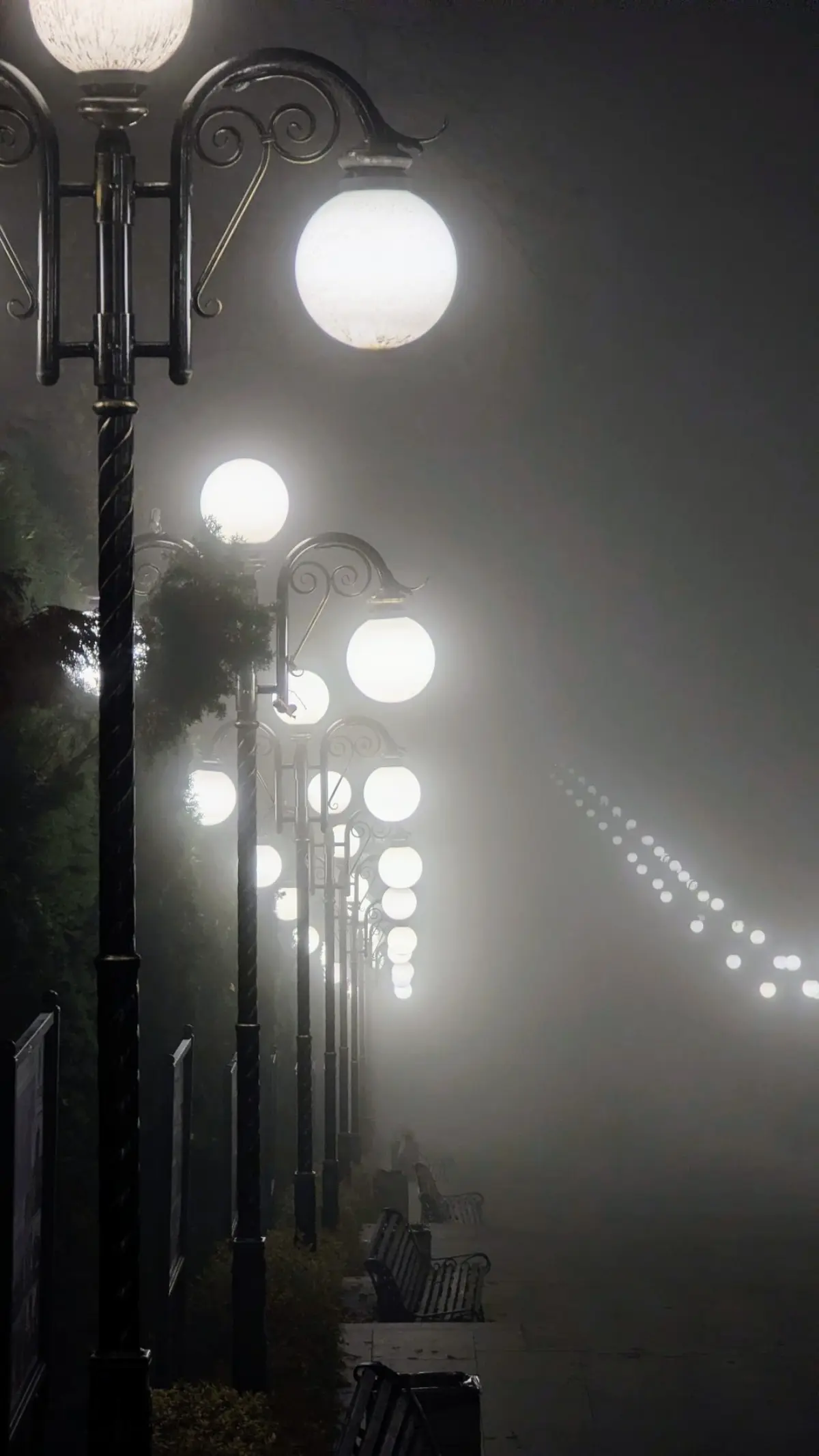 Хорошего вечера, друзья!❤️  
📷 Сергей Дуленко  
#Железноводск #ОтдыхНаКавказе #Курорт #АрендаКвартир | Сетка — социальная сеть от hh.ru