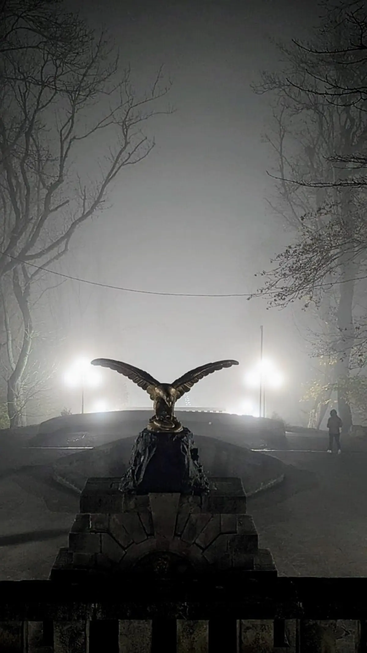 Хорошего вечера, друзья!❤️  
📷 Сергей Дуленко  
#Железноводск #ОтдыхНаКавказе #Курорт #АрендаКвартир | Сетка — социальная сеть от hh.ru