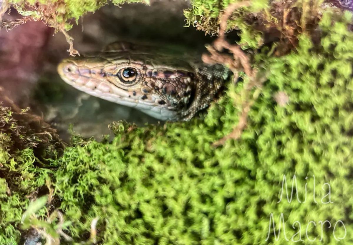 Время взглянуть на новую рабочую неделю | Сетка — социальная сеть от hh.ru