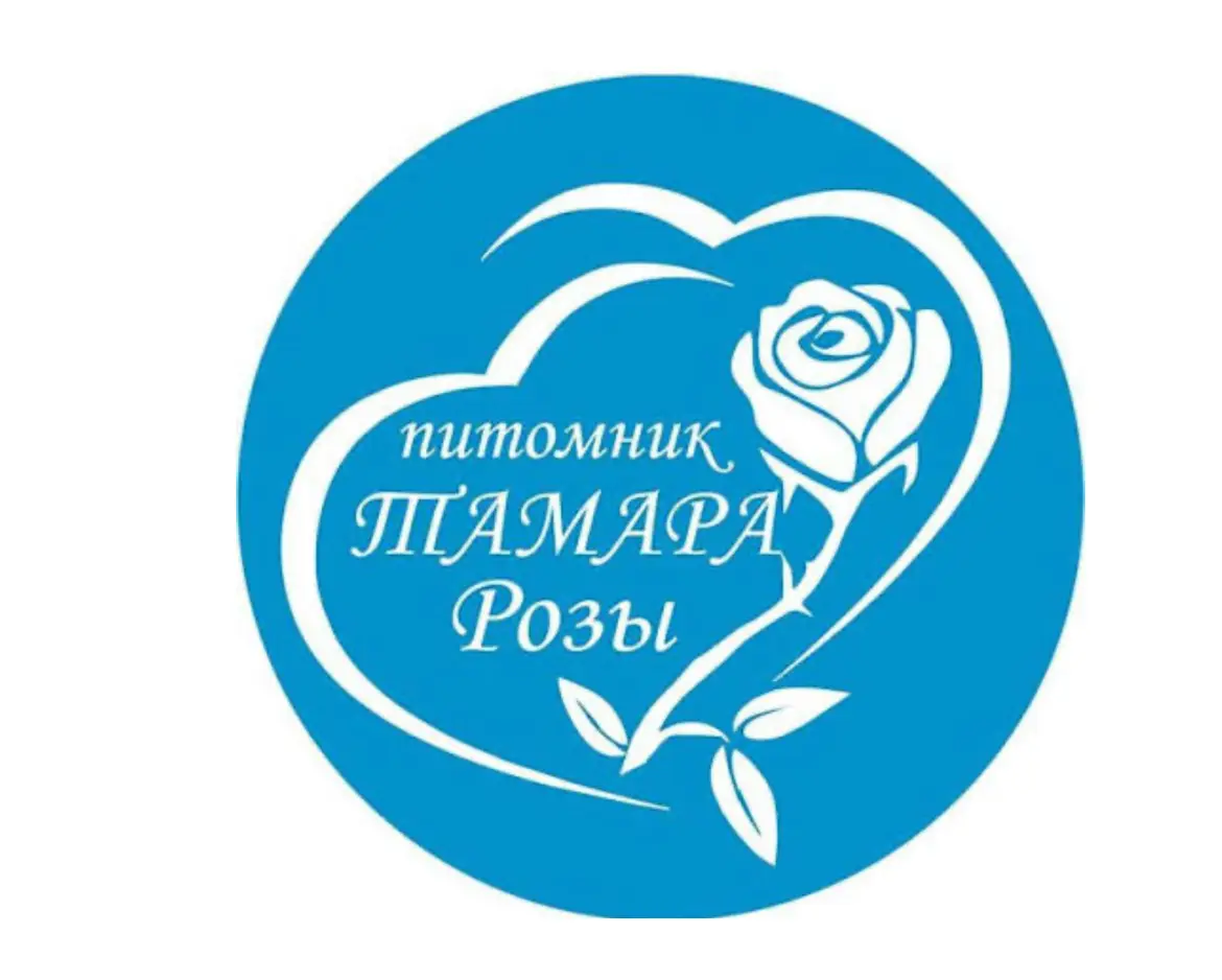 Кейc запуска рекламы сообщество «Тамара Роз» в Telegram | Сетка — социальная сеть от hh.ru