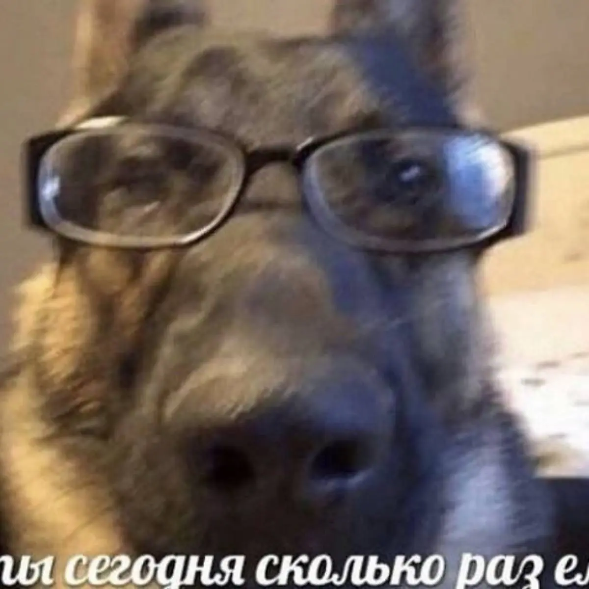 Александр Корчагин