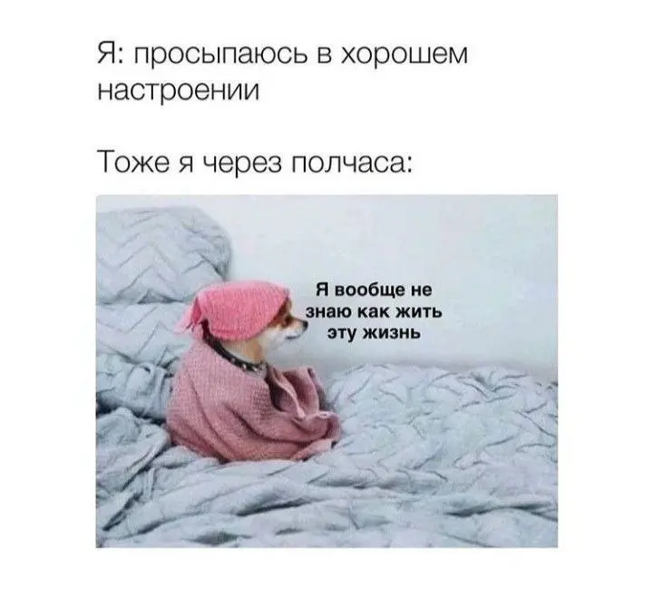 Напомнило)) | Сетка — социальная сеть от hh.ru