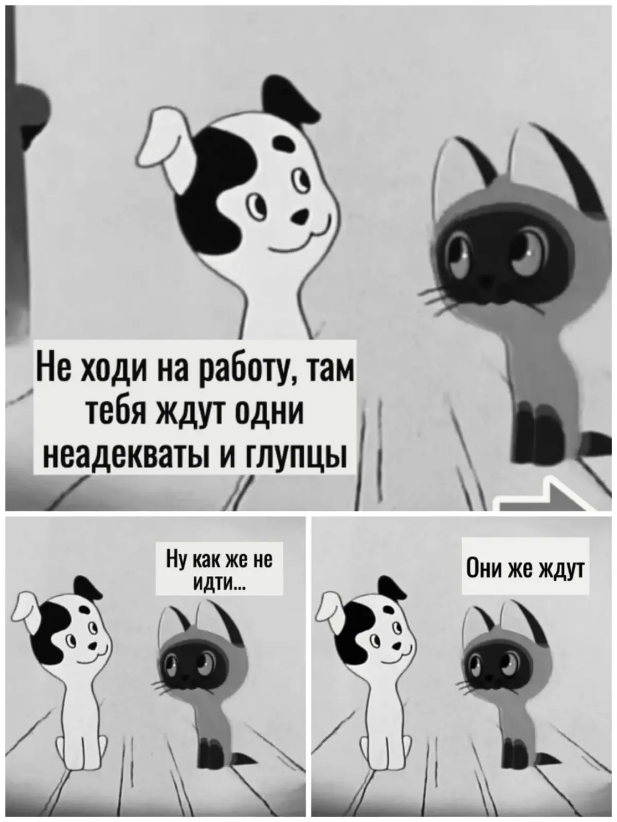 Хохма | Сетка — социальная сеть от hh.ru