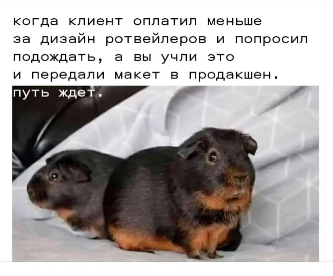 #немногомемов | Сетка — социальная сеть от hh.ru