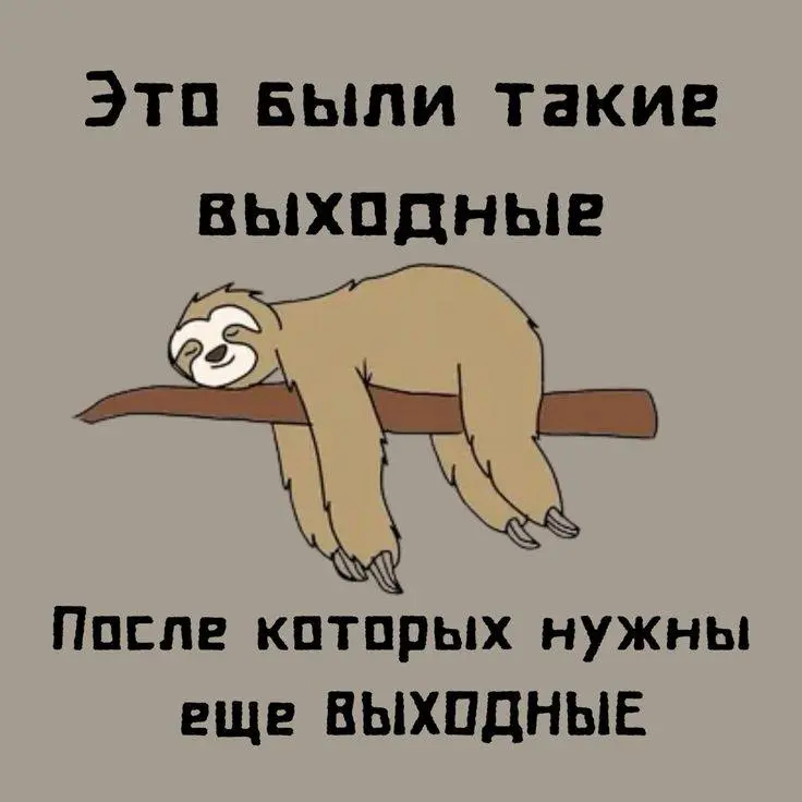 Доброго понедельника.
Как прошли ваши выходные?
Мои были на 50% приятными, а на вторые 50% адскими, не по плану. Поэтому сегодня я отменила встречи и пол дня отсыпалась | Сетка — социальная сеть от hh.ru