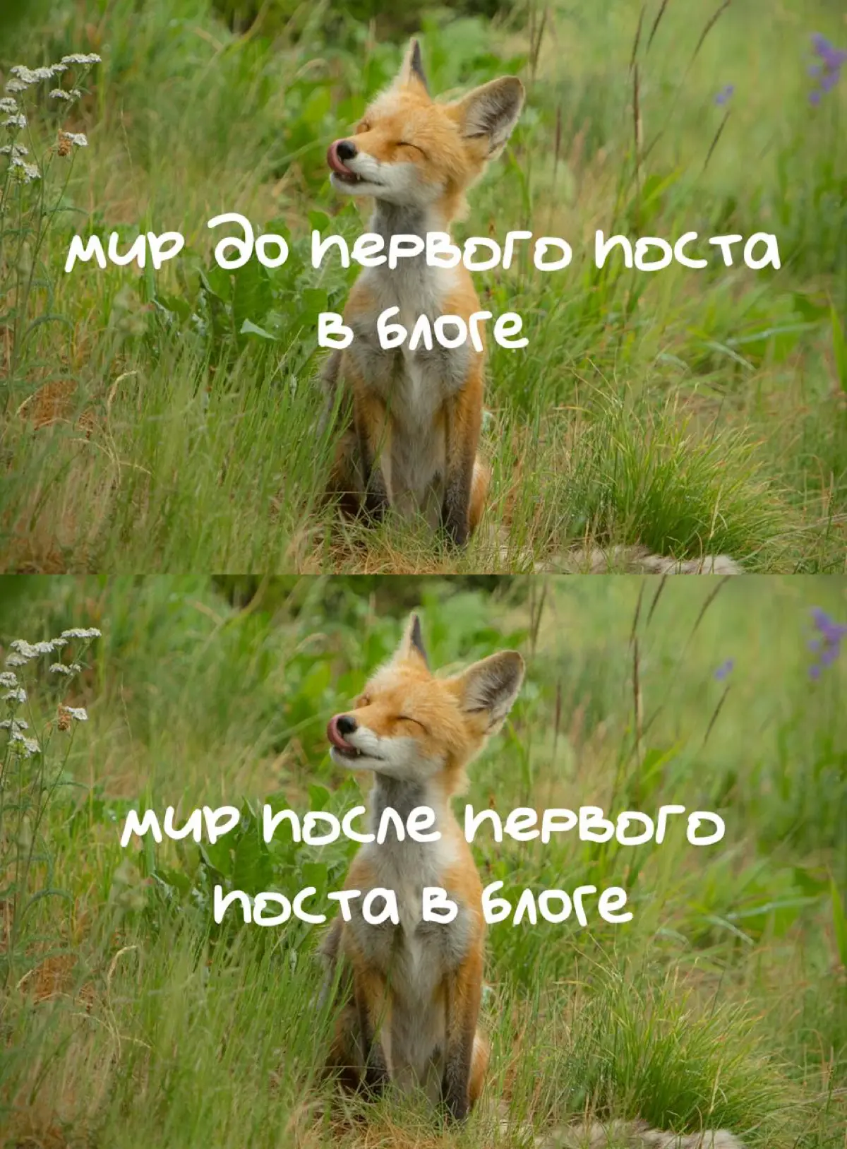 Дружеское напоминание: это не стоит твоих нервов | Сетка — социальная сеть от hh.ru