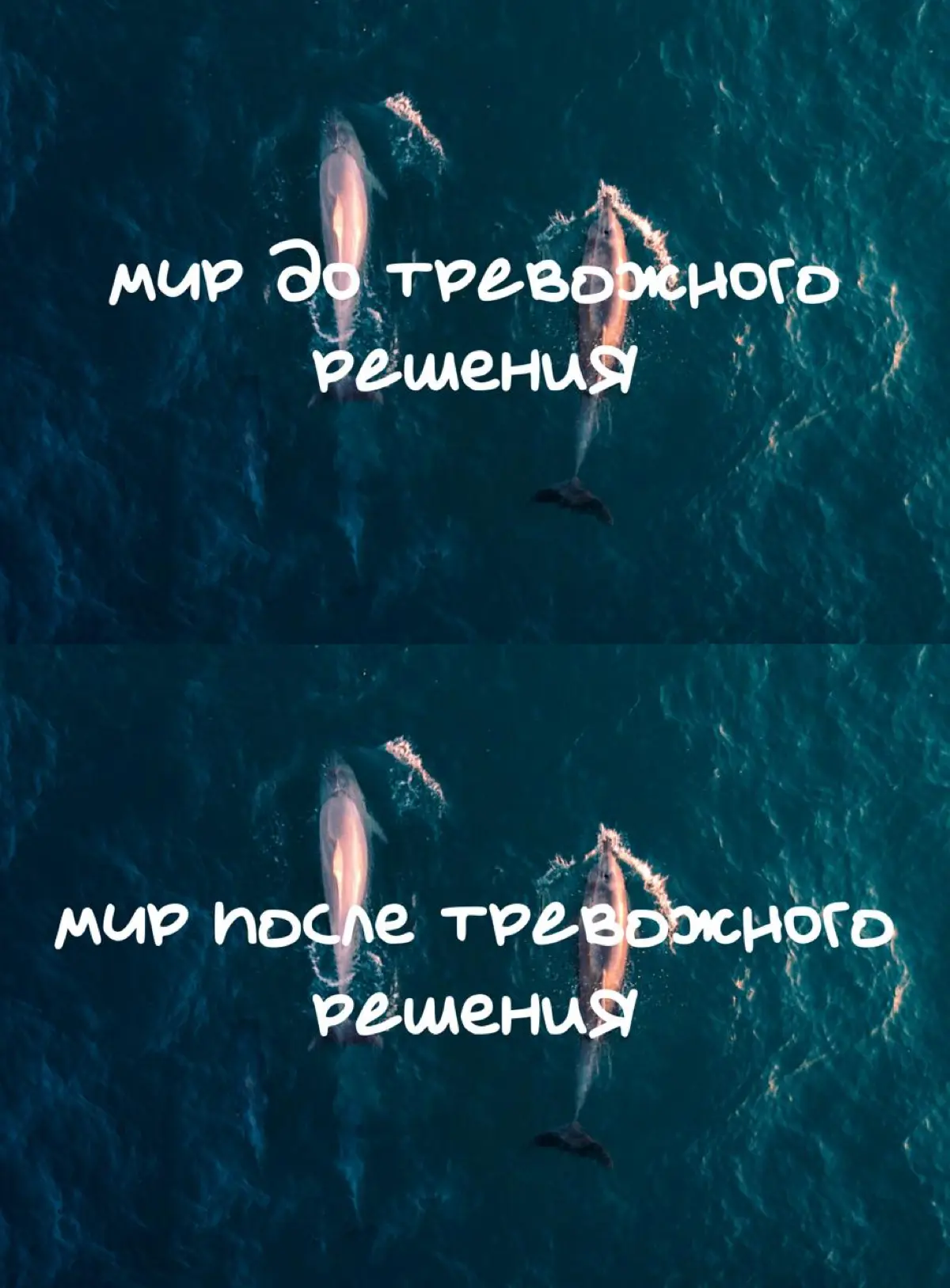 Дружеское напоминание: это не стоит твоих нервов | Сетка — социальная сеть от hh.ru