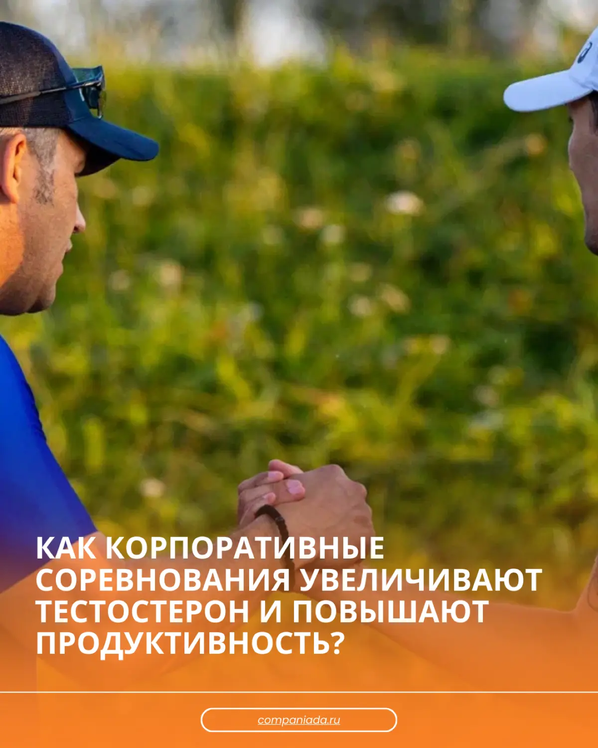 💡Корпоративные соревнования увеличивают тестостерон | Сетка — социальная сеть от hh.ru