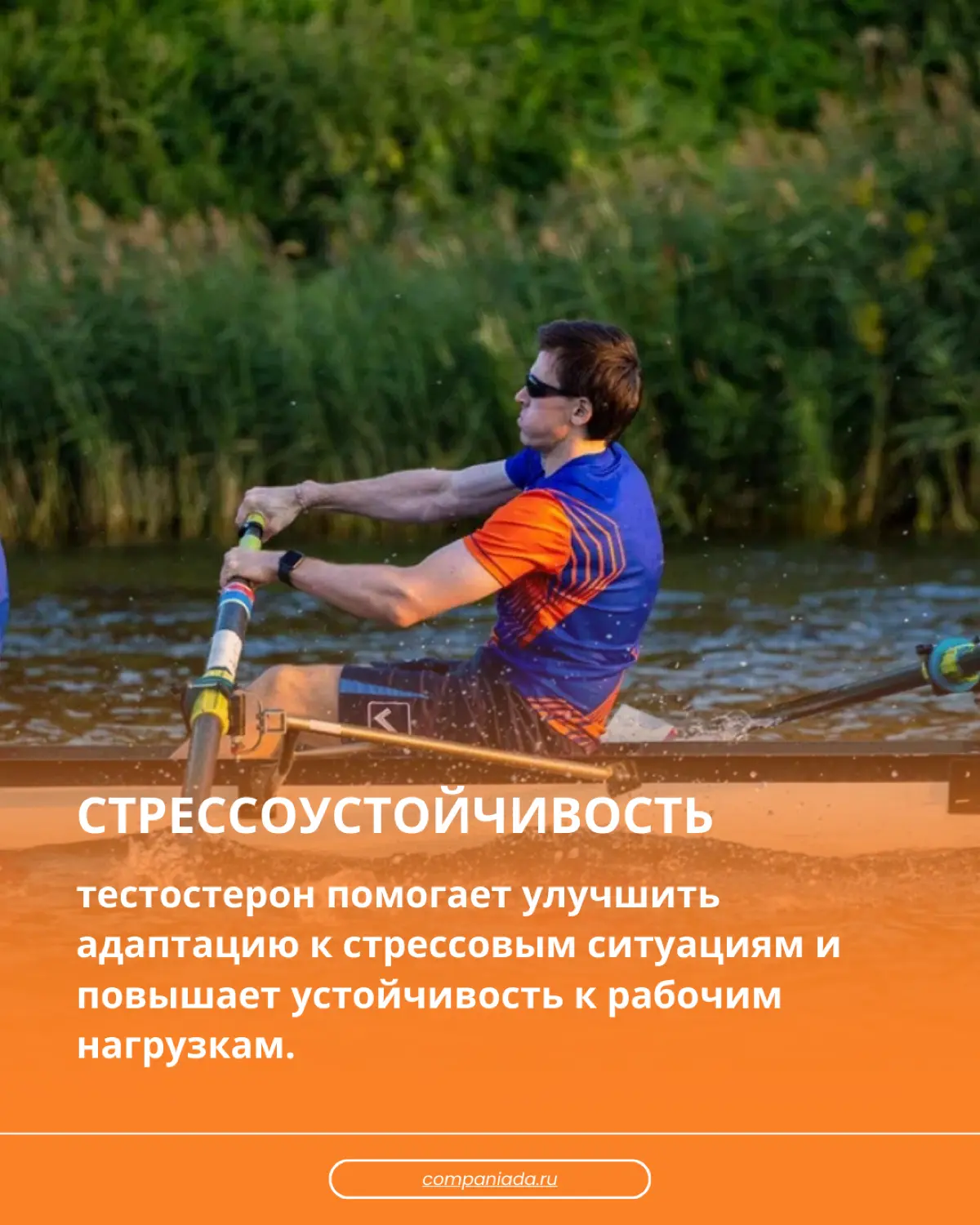 💡Корпоративные соревнования увеличивают тестостерон | Сетка — социальная сеть от hh.ru