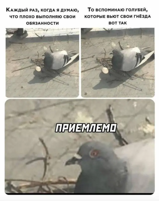 Приемлемо ли работать приемлемо ? 😏 | Сетка — социальная сеть от hh.ru