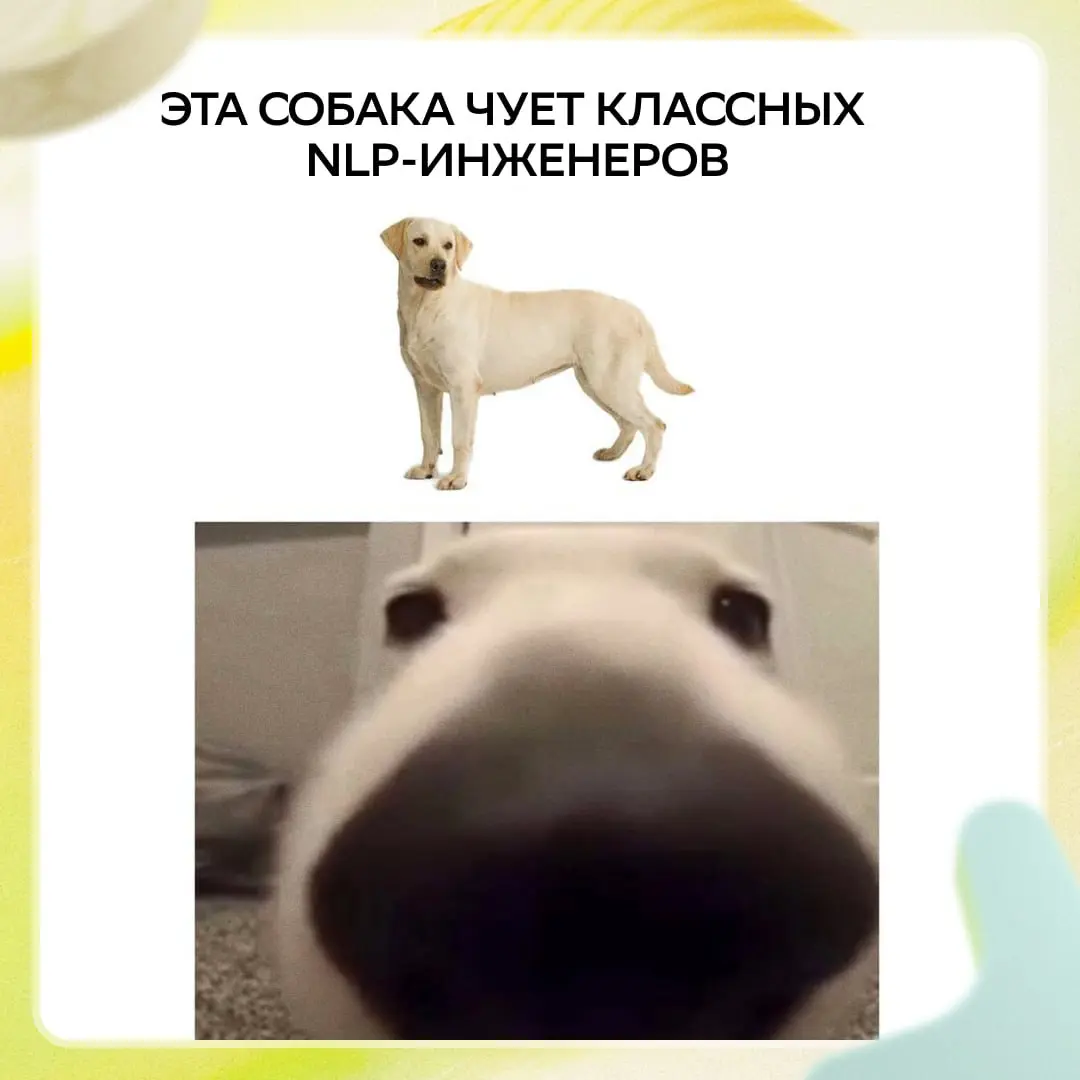 Вот почему она так радостно на тебя смотрит — чует талант!
Ну а мы приглашаем амбициозного NLP Engineer в команду GigaChat — выводить модель на новый уровень. Откликайся: https://s.sber.ru/p917jk | Сетка — социальная сеть от hh.ru