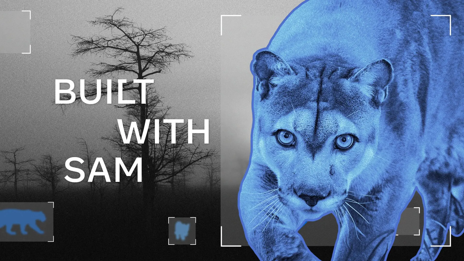 🔍 SAM 3 помогает отслеживать редких животных
Команда Conservation X Labs использует новую модель Meta SAM 3 для мониторинга исчезающих видов | Сетка — социальная сеть от hh.ru