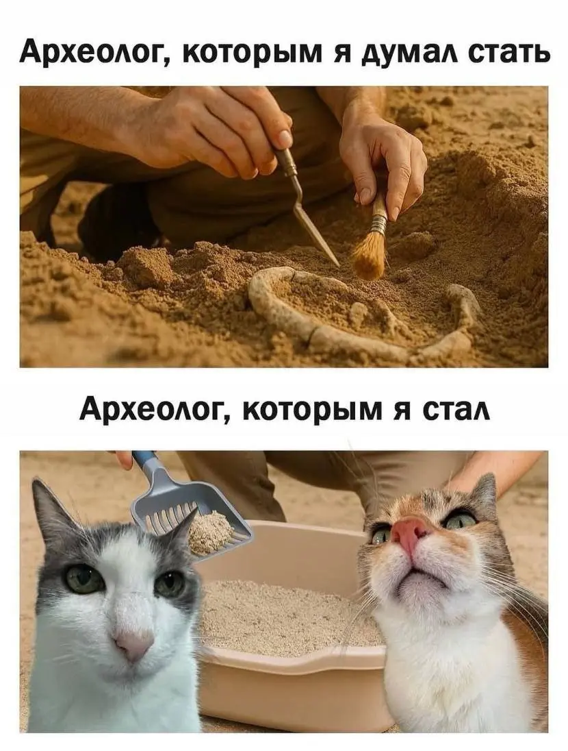Ожидание VS реальность 😂😂
#Юмор@poldner #Коты@poldner | Сетка — социальная сеть от hh.ru