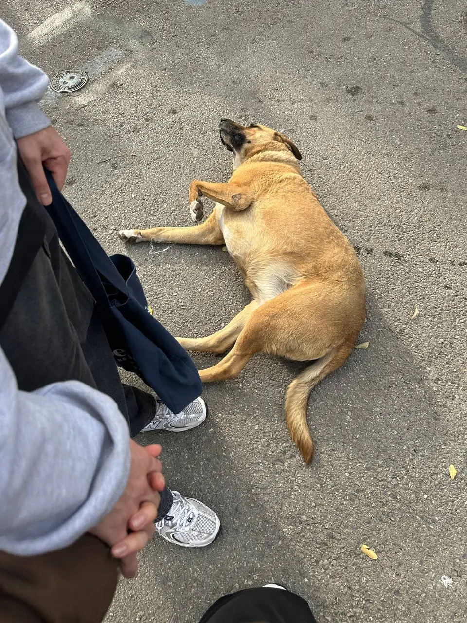 Ну что, 5 дней в Стамбуле пролетели незаметно. Всегда после перерыва тяжело возвращаться в рабочий ритм, все мы любим ничего не делать, и я не исключение | Сетка — социальная сеть от hh.ru