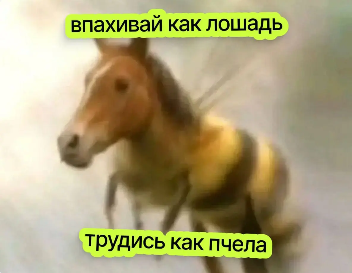 КАК НЕ СГОРЕТЬ В РАБОТЕ
Работа идёт, но ты (ближе к декабрю-то) - уже не очень😐
Вот посты, которые помогут держать себя (и команду) в балансе:
1⃣Держи самообладание на работе
2⃣Придержи свои кросс-ком... | Сетка — социальная сеть от hh.ru