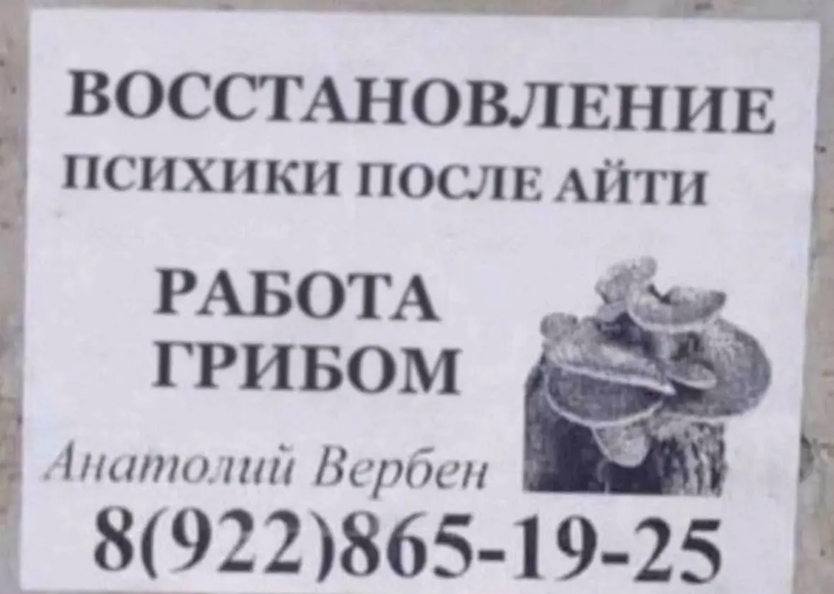 Дайте 2 пожалуйста | Сетка — социальная сеть от hh.ru