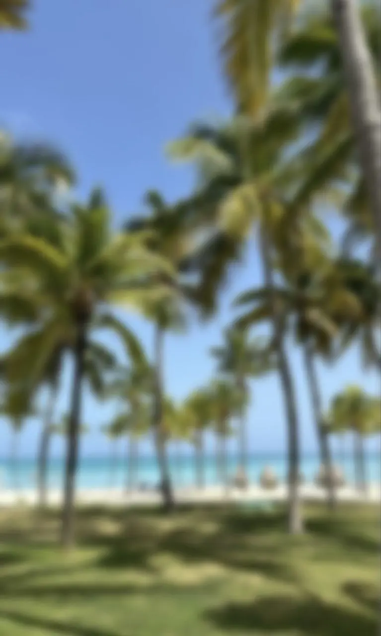 *☀️ КАРИБСКИЕ КАНИКУЛЫ: Куба и Венесуэла с «Вокруг Света»!
Прямые перелеты из Москвы! Подарите себе зимнее лето на легендарных пляжах Карибского моря | Сетка — социальная сеть от hh.ru