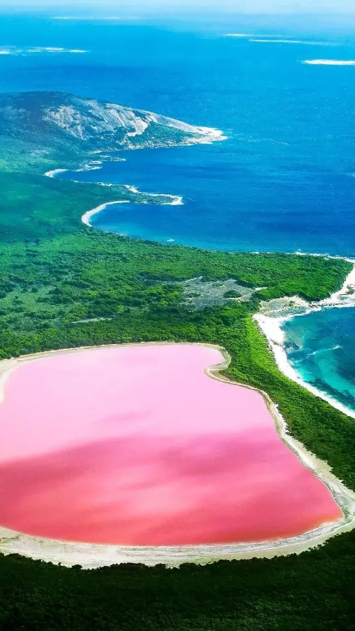*☀️ КАРИБСКИЕ КАНИКУЛЫ: Куба и Венесуэла с «Вокруг Света»!
Прямые перелеты из Москвы! Подарите себе зимнее лето на легендарных пляжах Карибского моря | Сетка — социальная сеть от hh.ru