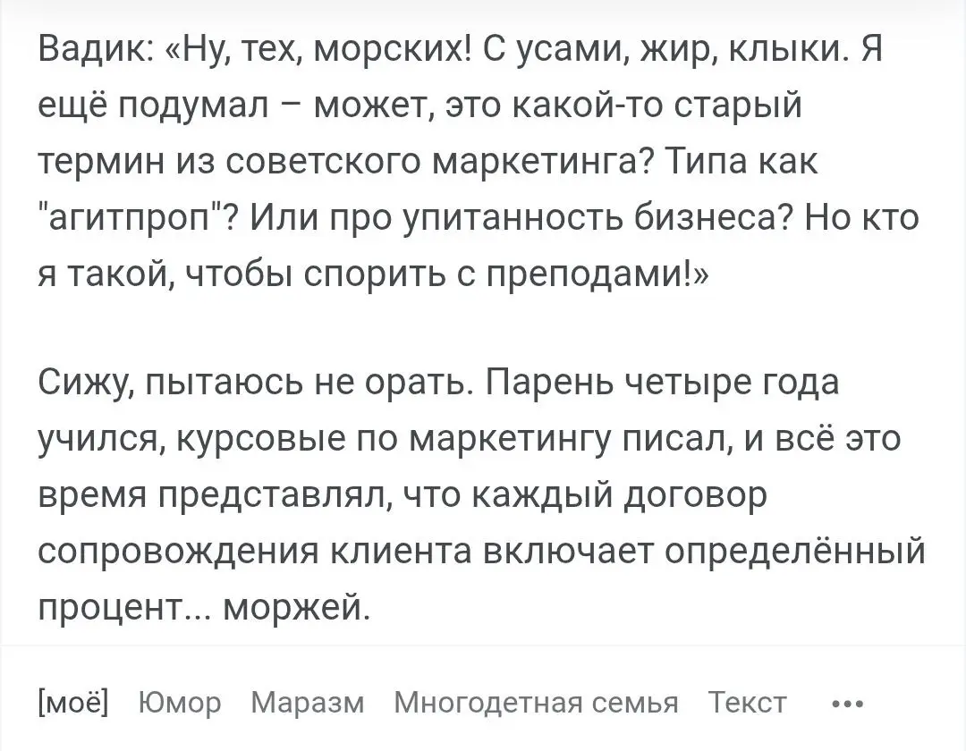«Не понимаю, зачем в маркетинге моржи». Пикабушник рассказал, как их компания наняла зумера с маркетинговым образованием | Сетка — социальная сеть от hh.ru
