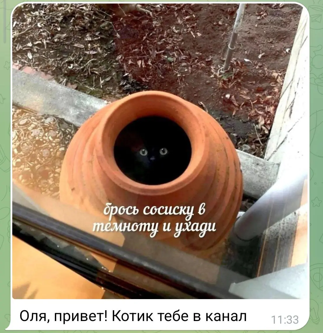 Котик от любимого клиента Тараса ❤️
#коты@poldner | Сетка — социальная сеть от hh.ru