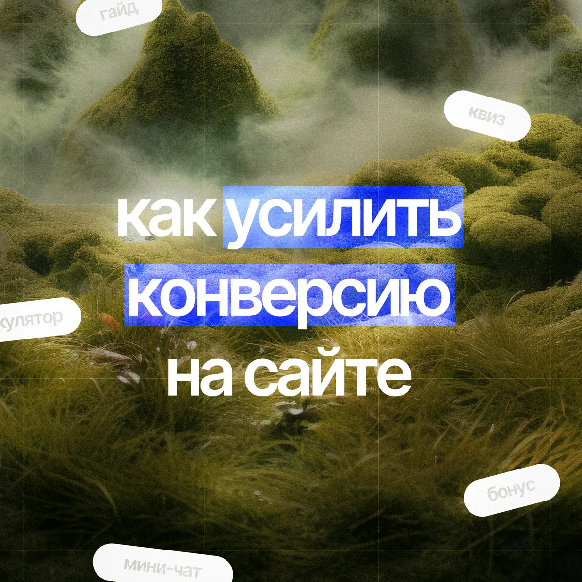 📈 что добавить на сайт, чтобы он приносил больше заявок? | Сетка — социальная сеть от hh.ru