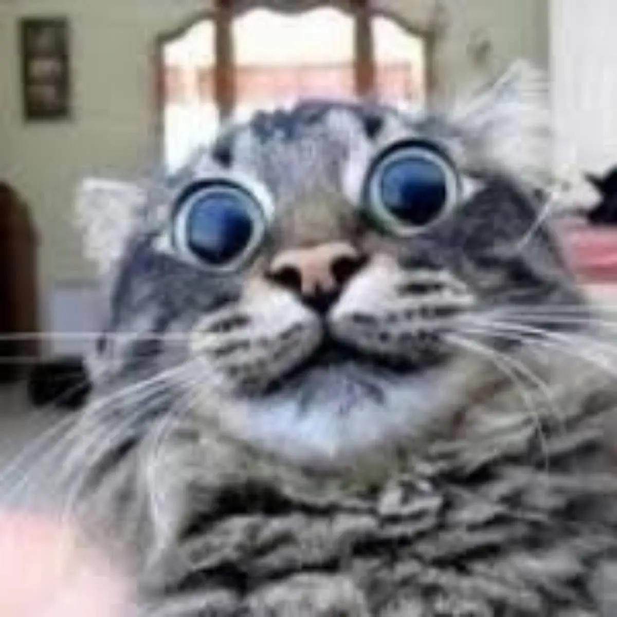 Максим Поляков | Сетка — социальная сеть от hh.ru