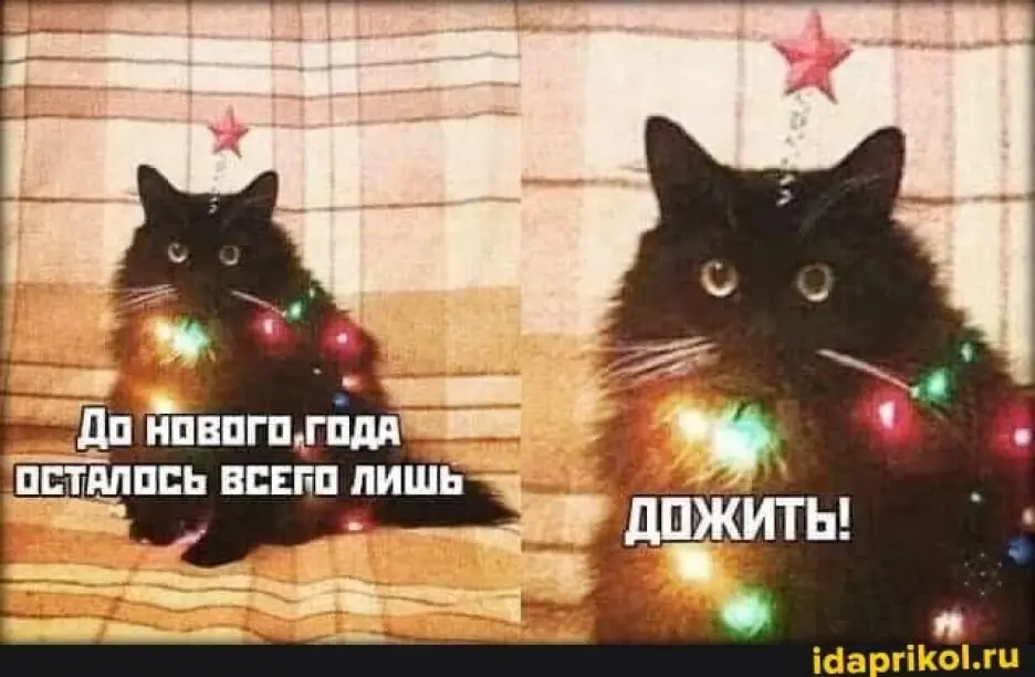 🔥 Декабрь: инструкция по выживанию
Тут Вера в паблике т и м л и д и и и к и подняла очень важную тему: «Как пережить декабрь». Захотелось немного подразогнать, как я ее вижу | Сетка — социальная сеть от hh.ru