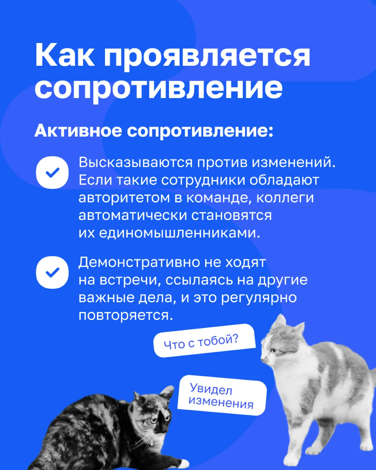 Как сделать сотрудников союзниками? | Сетка — социальная сеть от hh.ru