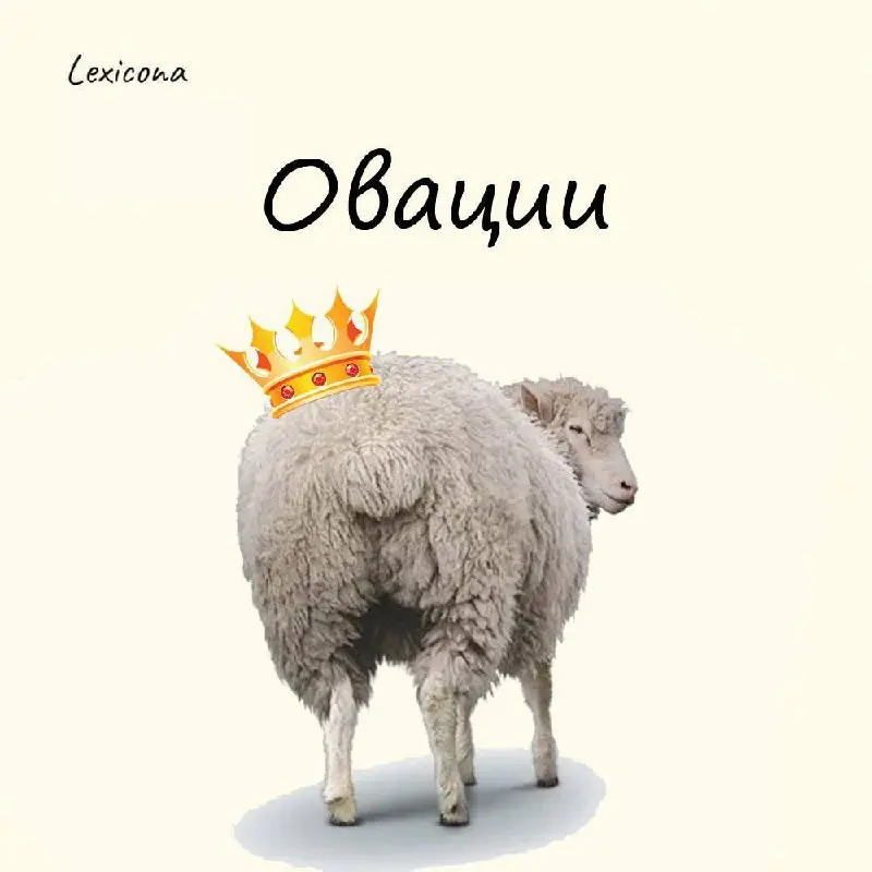 Овации 👏
В Древнем Риме если полководец выигрывал «проходную» войну с недостойным противником, или это была настолько молниеносная война, что кровь только успела капнуть, но так и не пролилась – он по... | Сетка — социальная сеть от hh.ru