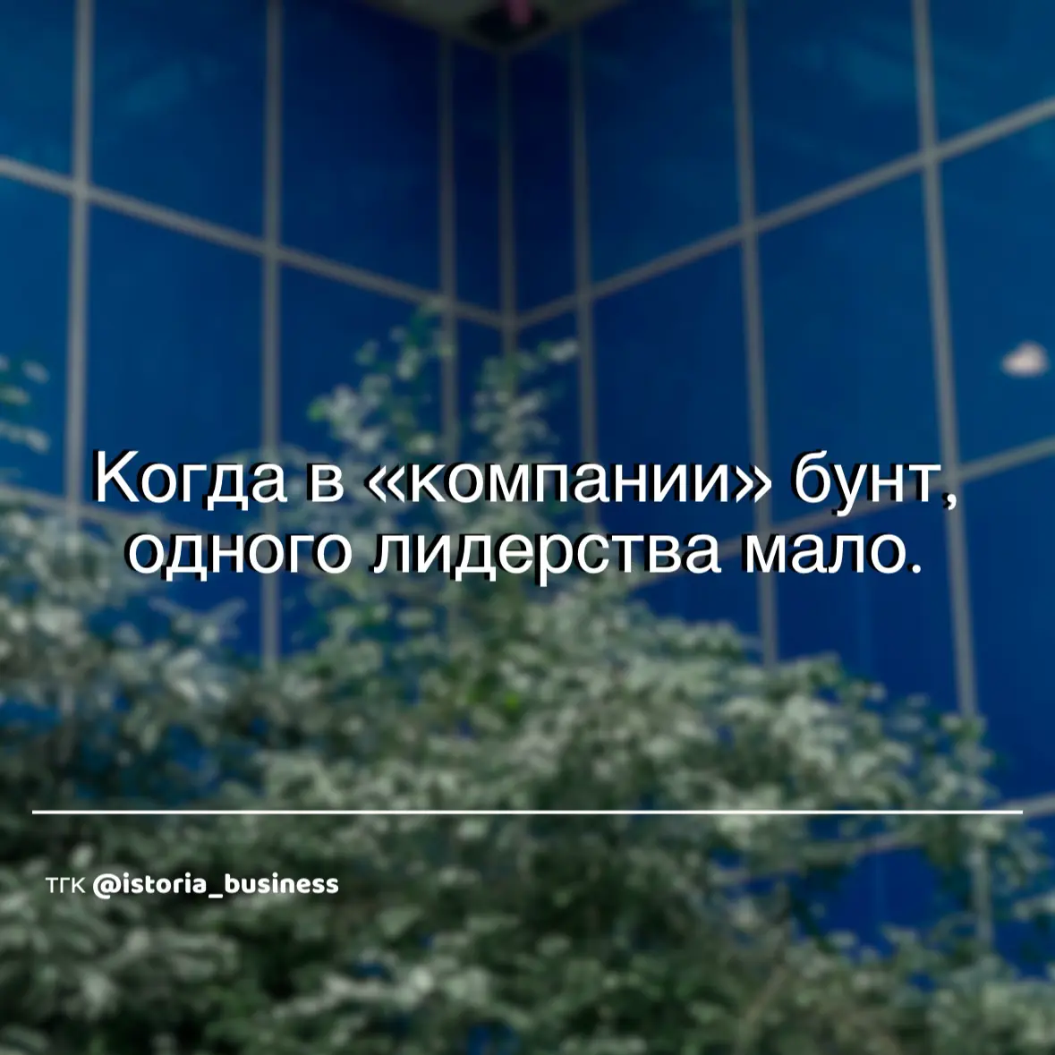 Бунт в компании | Сетка — социальная сеть от hh.ru