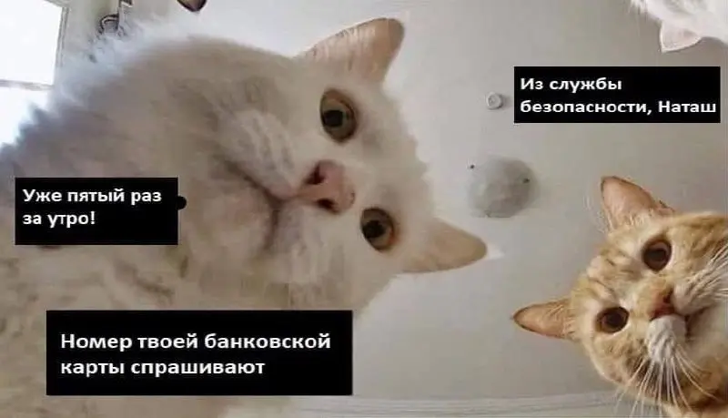 Как банк блокирует карту
В последние месяцы часто слышу, что у знакомых блокируют банковские карты и нужно давать банку пояснения, что за переводы ты отправлял | Сетка — социальная сеть от hh.ru